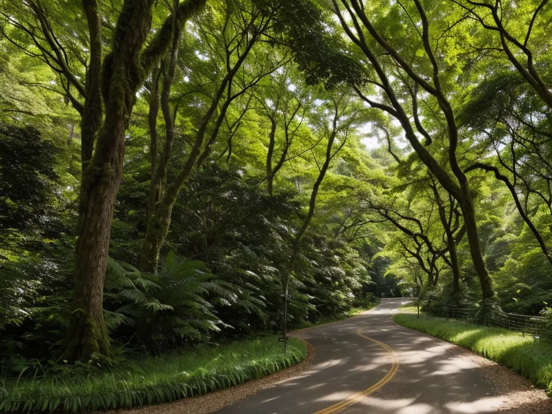 A peaceful paved walking path through the green trees of the Cleveland Metroparks.